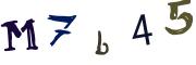 Bild-CAPTCHA