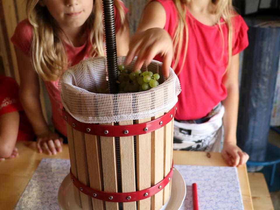 Als erstes werden die Trauben in die Presse gelegt...