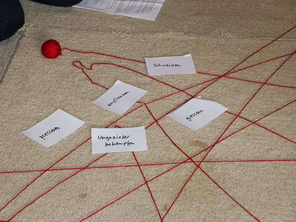 Beim anschliessenden katechetischen Impuls beantworten die Kinder Fragen zu «Was bin ich?» und den Arbeiten im Weinberg.