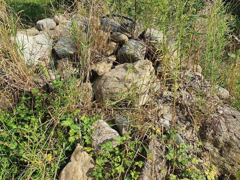  Lebensvielfalt fördern