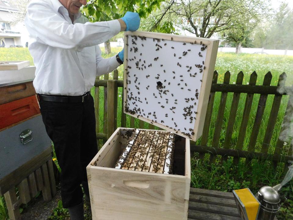 Hier zeigt der evangelische Pfarrer und Kirchenrat ein Jungvolk.