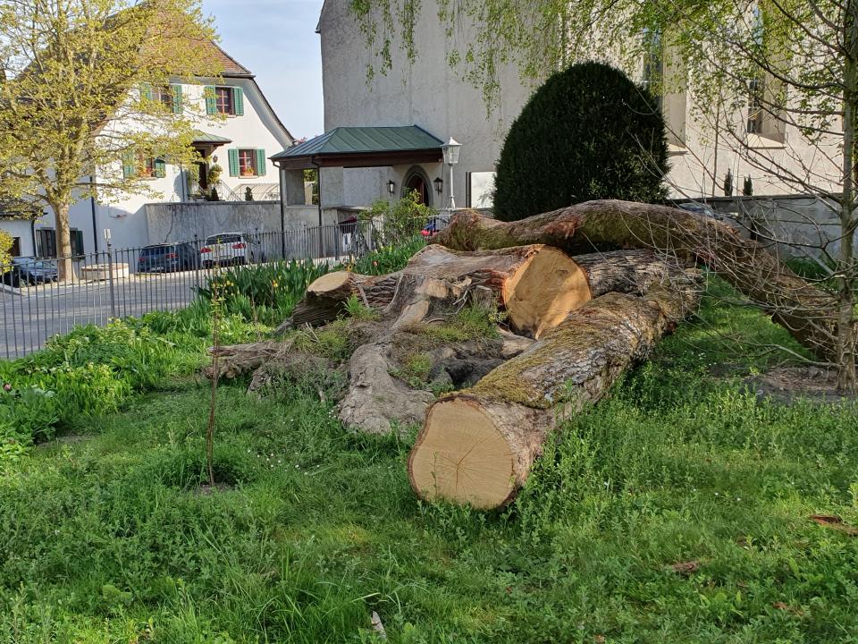 Pfarrgarten in Ermatingen: ein Hort der Biodiversität 