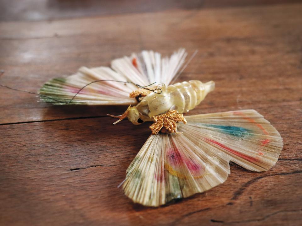 Schmetterling