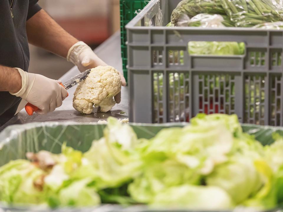 Zu gut für den Kompost : Gemüse wird für die Weitergabe vorbereitet.