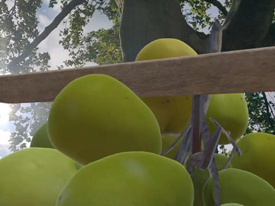 Das Bildstöckli «Quo vadis» von Marco Schmid