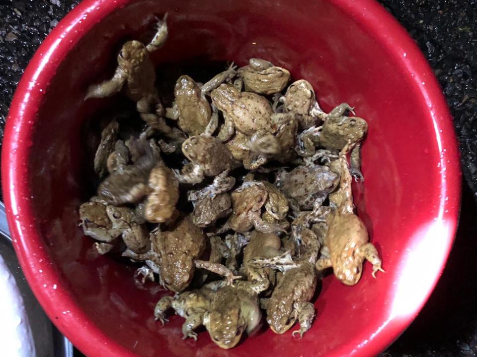 Hilfsaktion für Köten