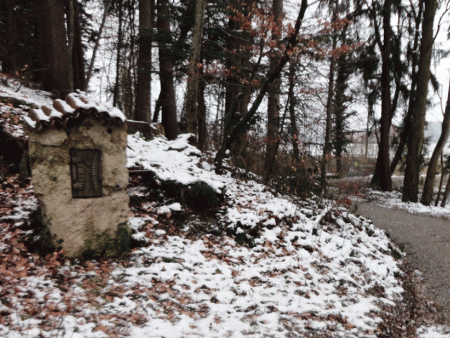 Achterbahn der Gefühle