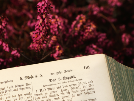 Koloss auf tönernen Füssen