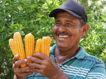 Mit Agrarökologie aus der Krise