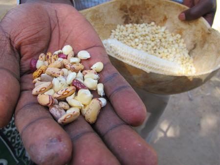 Kollekten für Fastenopfer finden statt