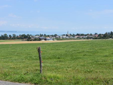 Blick auf den Bodensee