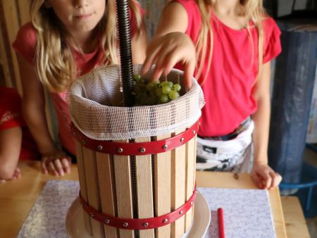 Als erstes werden die Trauben in die Presse gelegt...