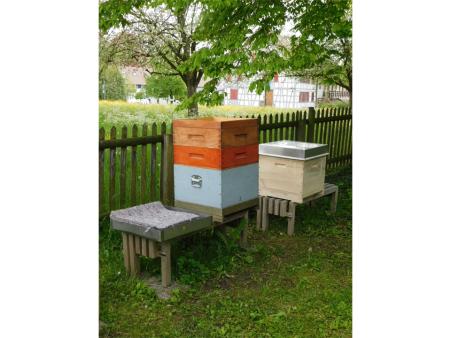 Lukas Weinhold hat mehrere Bienenstöcke im Garten des Pfarreihauses.