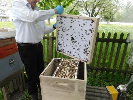 Hier zeigt der evangelische Pfarrer und Kirchenrat ein Jungvolk.