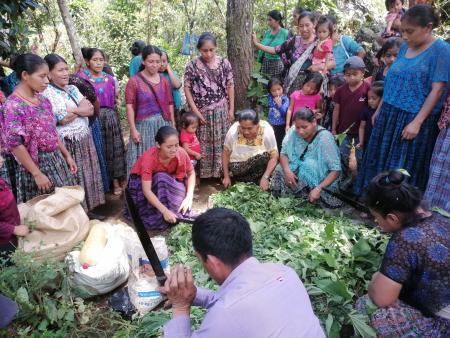 Kampf um das Recht auf eigenes Land