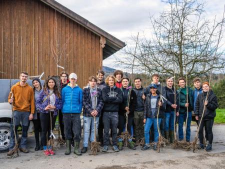 Pflanzen für die Artenvielfalt