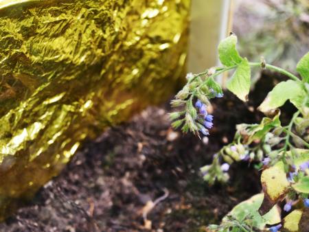 Detail aus dem Kunstwerk «Kraft Kuchen»