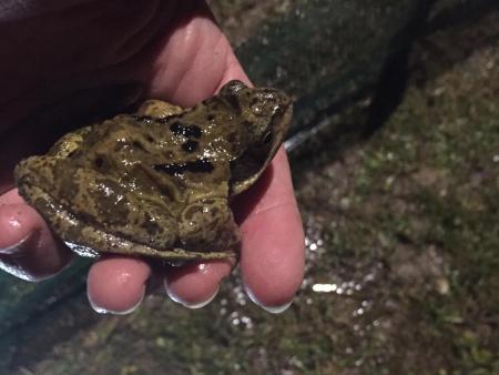 Hilfsaktion für Köten