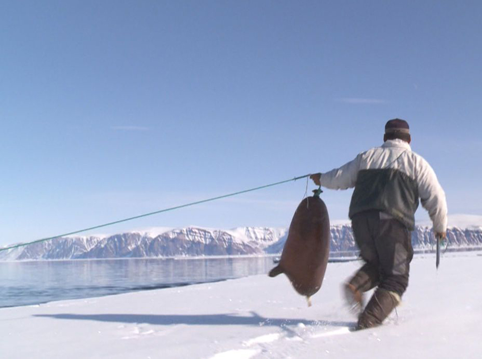 Die Eisschmelze erschwert in Thule den Fisch- und Robbenfang.