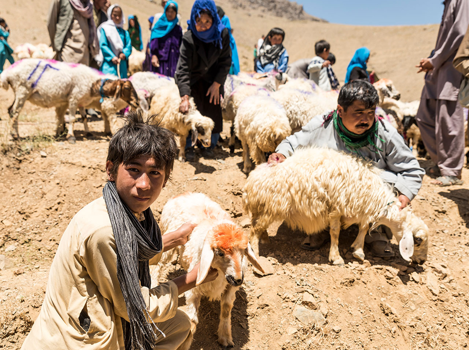 Der Verein leistet unter anderem Nothilfe, indem er Schafe an verarmte Familien verteilt.
