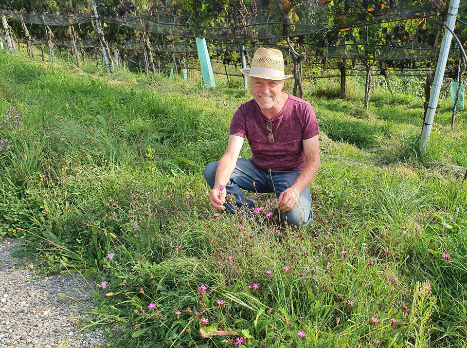 Bio-Weinbauer Fredi Strasser gibt und lässt Lebensraum für viele Pflanzen und Tiere.