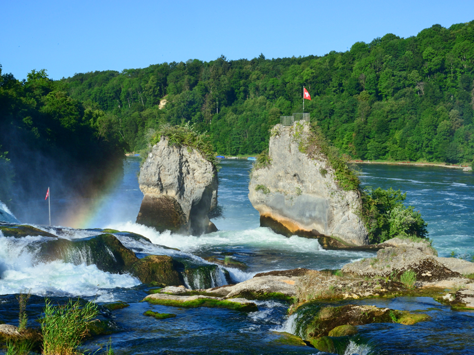 Blick auf den Rheinfall 