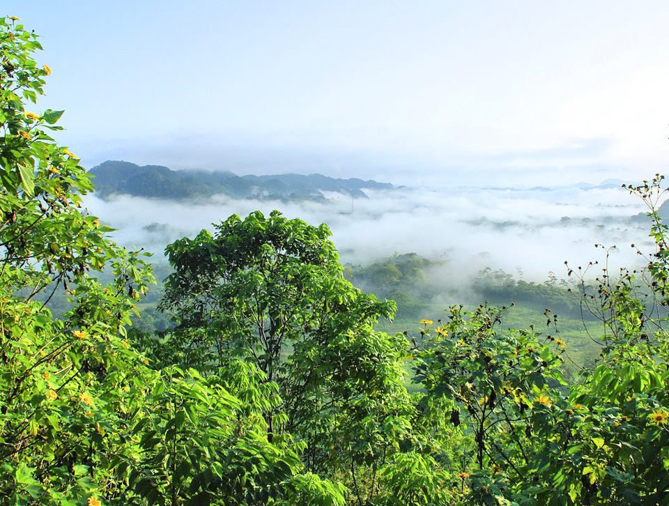 Der Bezirk Putumayo im Südwesten Kolumbiens gehört zum Amazonasgebiet