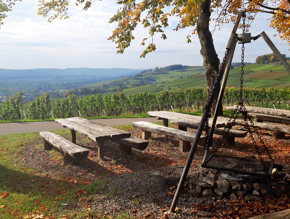 Das Gebiet Hallauerberg mit Blick auf Hallau und Reben