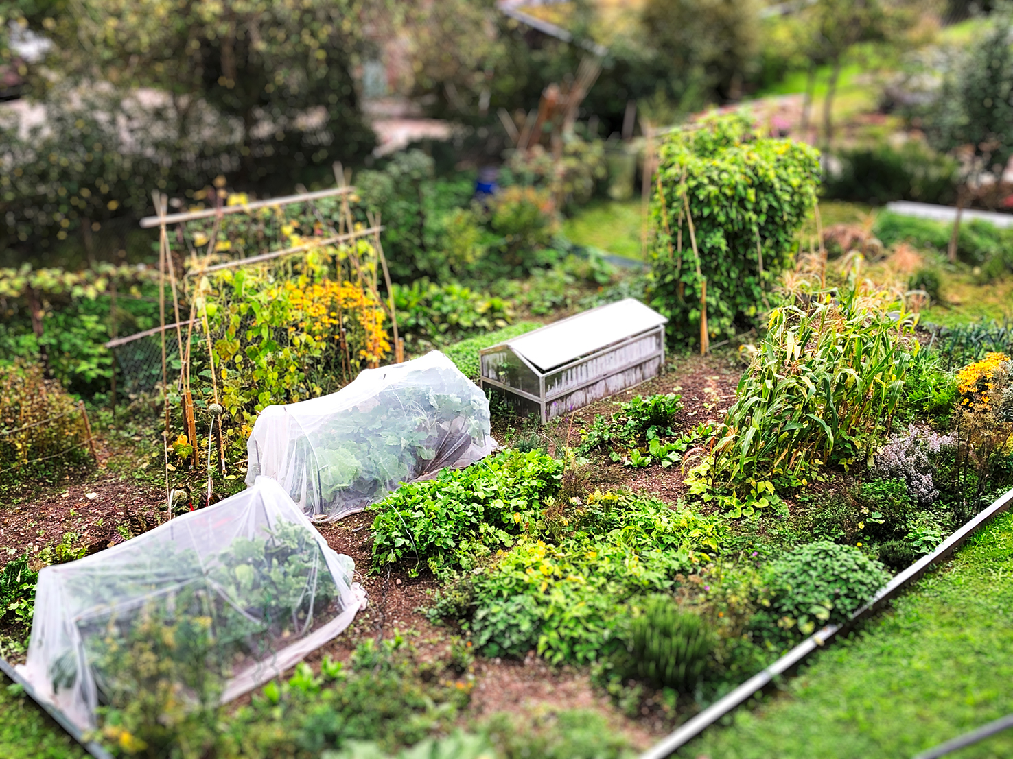Sicht auf Garten von Kathrin Schäppi in Beggingen