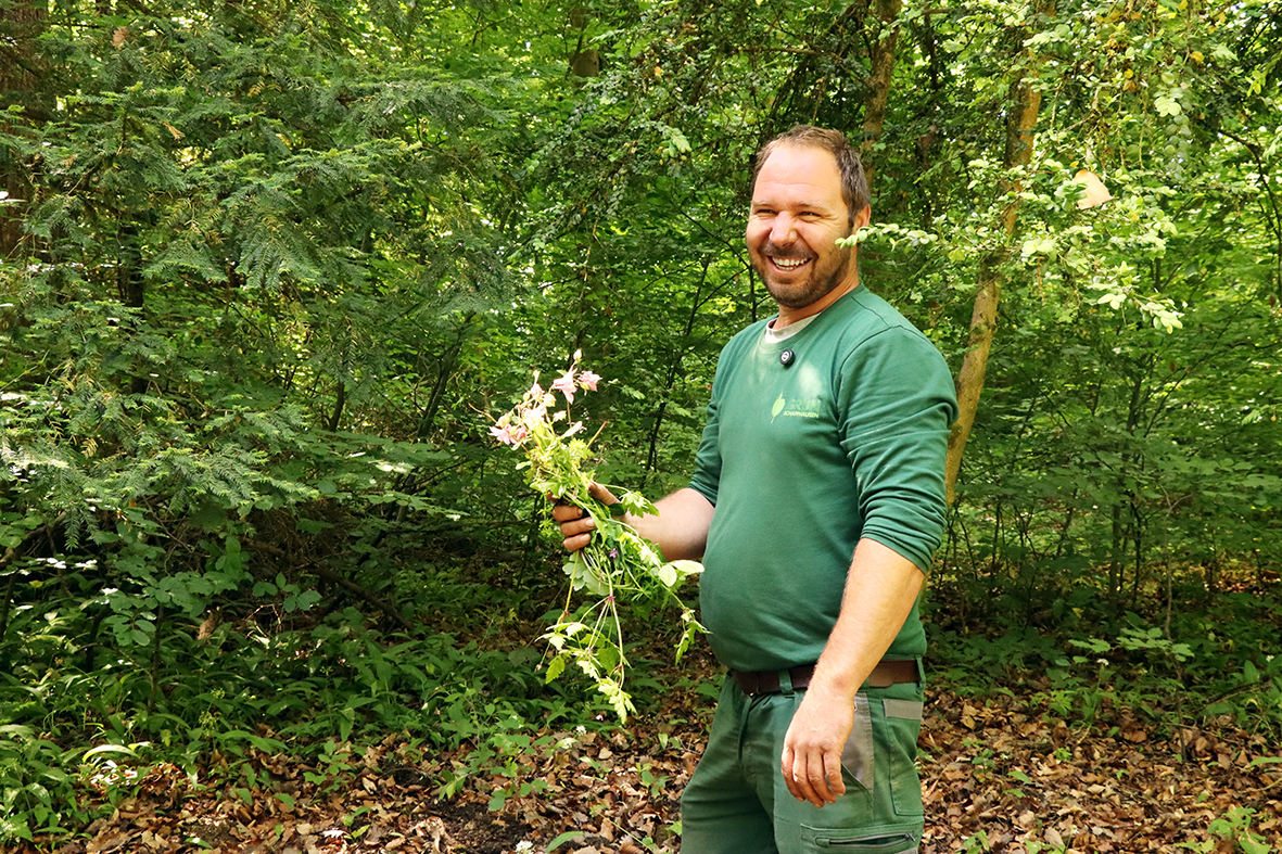Friedhofsgärtner Christian Huguenin mit Akelei in der Hand
