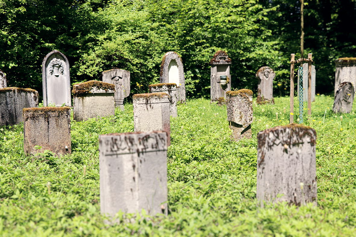 Ein Denkmalfeld im Waldfriedhof Schaffhausen